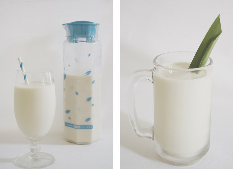 Homemade Soy Milk