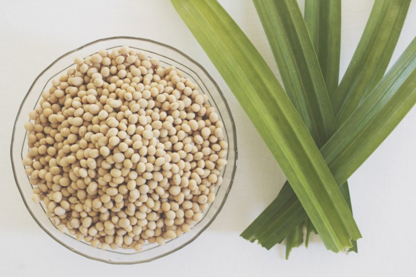 Homemade Soy Milk Ingredients