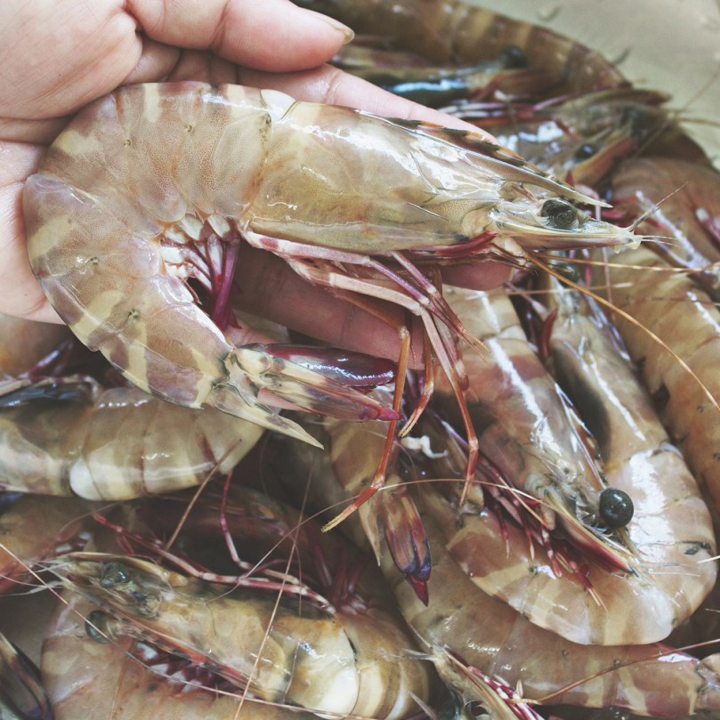Goong Ob Woon Sen (กุ้งอบวุ้นเส้น) Ingredients