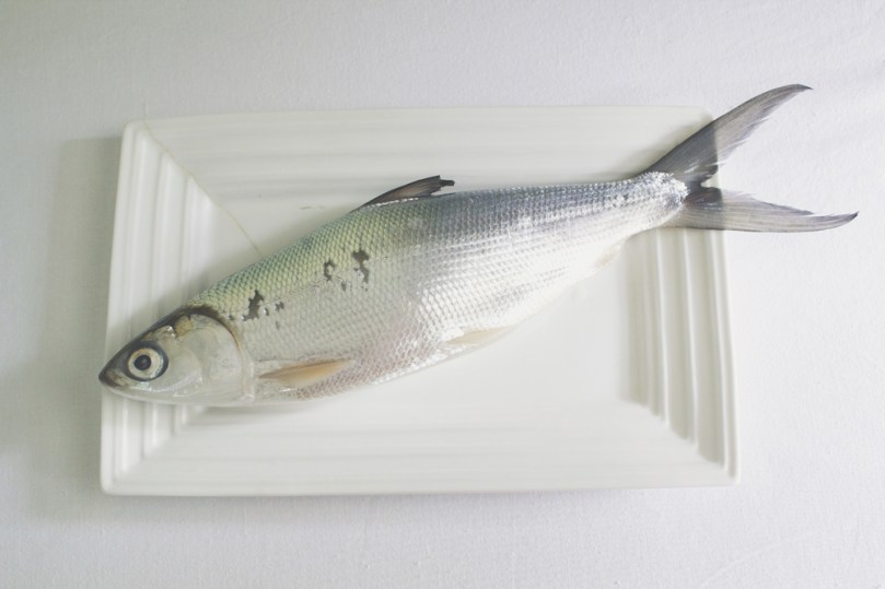 Pritong Bangús Steak (Fried Milkfish Steak) Ingredients