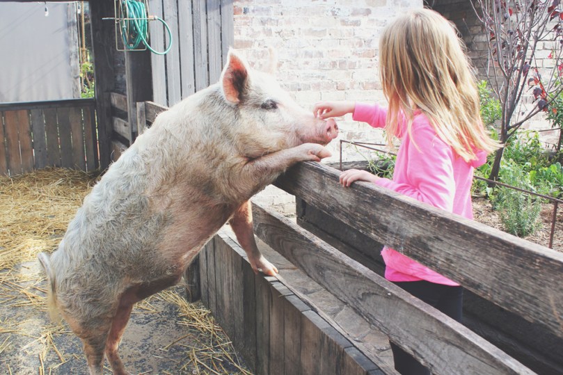 The Grounds of Alexandria