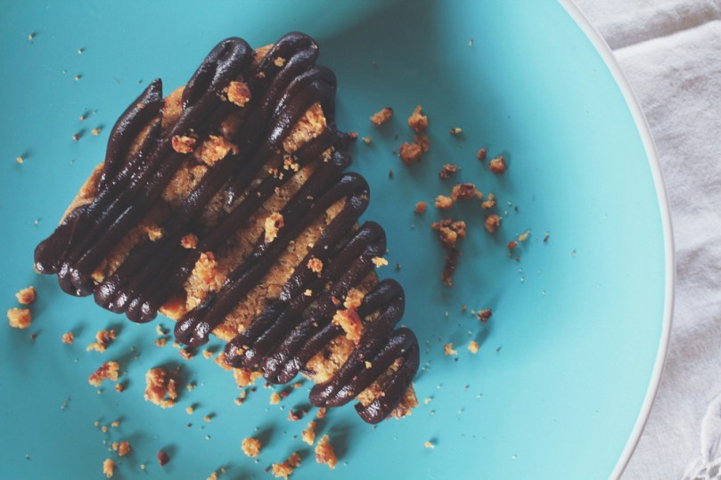 Brendon's Giant Chocolate Chip Cookie