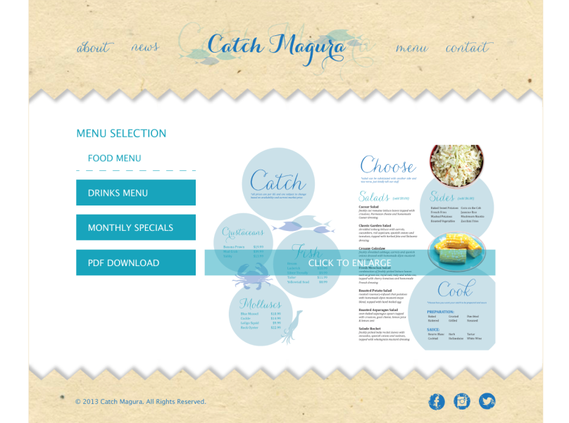 Catch Magura Website Designs Page 04