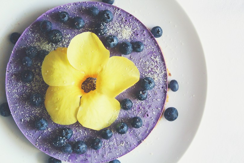 Vegan No-bake Blueberry & Lemon 'Cheesecake'