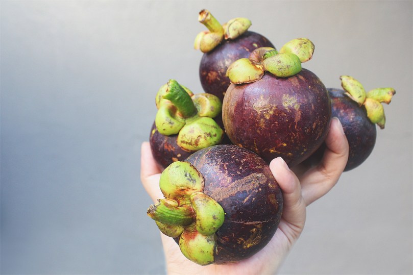 Mangosteen Fruit