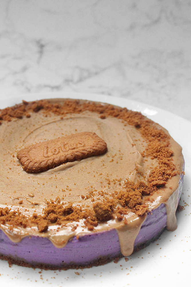 Ube Biscoff Cheesecake